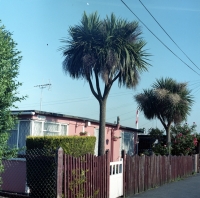 https://www.arekgolosz.com:443/files/gimgs/th-11_img075.jpg