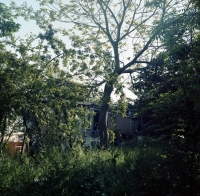 https://www.arekgolosz.com:443/files/gimgs/th-11_img087.jpg