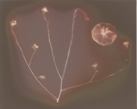 https://www.arekgolosz.com:443/files/gimgs/th-16_lumen_2018_011.jpg