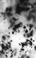 https://www.arekgolosz.com:443/files/gimgs/th-23_photogram__001_v2.jpg