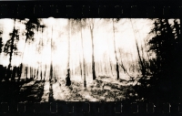 https://www.arekgolosz.com:443/files/gimgs/th-24_woods_lith_006.jpg