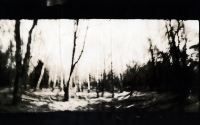 https://www.arekgolosz.com:443/files/gimgs/th-24_woods_lith_007.jpg