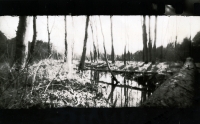 https://www.arekgolosz.com:443/files/gimgs/th-24_woods_lith_009.jpg