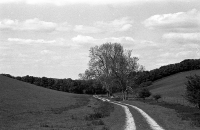 https://www.arekgolosz.com:443/files/gimgs/th-8_bigg_hill008.jpg